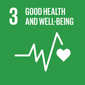 E SDG goals 03