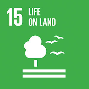 E SDG goals 15