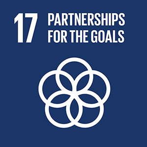 E SDG goals 17